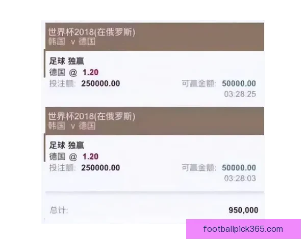 世界杯竞猜高赔率平台推荐，让你轻松掌握投注技巧赢大奖
